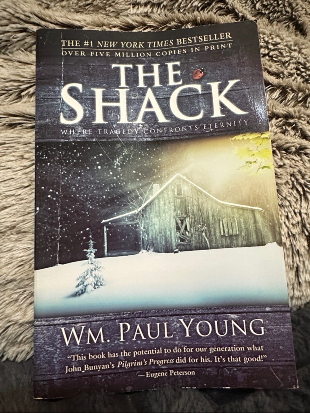 The Shack by Wm. Paul Young - Winter Cover
